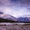 Into the wild: 'The Yukon Assignment'