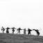 The dance of death at the end of "The Seventh Seal"