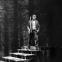 Thomas Allen starred in The Cunning Little Vixen at Glyndebourne in 1977. But in 1969 he was in the Chorus