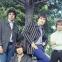 Garage-rock titans The Troggs, whose 'Night of the Long Grass' is amongst 'Too Much Sun Will Burn's' highlights