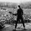 The Clash's Paul Simonon plays to a packed crowd in Victoria Park
