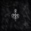 Kvitravn: pagan drones