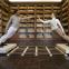 Philippe Kratz and Grace Lyell perform 'Virtual Dance for Real People' in Ravenna's Classense Library