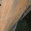 Not a thrill-seeking monomaniac: Alex Honnold on El Capitan