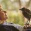 After the fall: Naomi Watts in 'Penguin Bloom'
