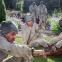 Open prison: a brief garden idyll for the captives in 'Fidelio'