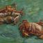 Vincent van Gogh, Two Crabs, 1889