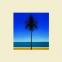 Metronomy: An early taste of summer