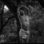 Mishima's dream of St Sebastian's martyrdom