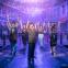 Vanity not-so-fair: Gerard Carey as Malvolio and the company of 'Twelfth Night'