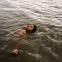Staying afloat: Nykika Adams as Bailey in 'Bird'