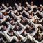 Give us what you have too much of - The Greek Passion's chorus of refugees