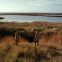 It's me, I'm Kathy: Kathy (Cathy Naden) and Nick (Jerry Killick) on the Hoo peninsular