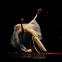 Three in the marriage: Bertha Mason (Fan Xiaofeng) in Shanghai Ballet's Jane Eyre