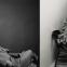 Kindred spirits: Tennessee Williams and Truman Capote